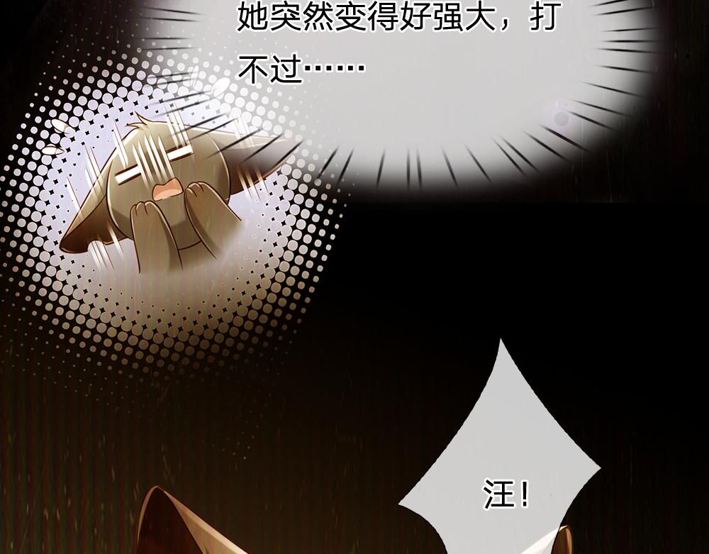第227话 小白是真的狗！81