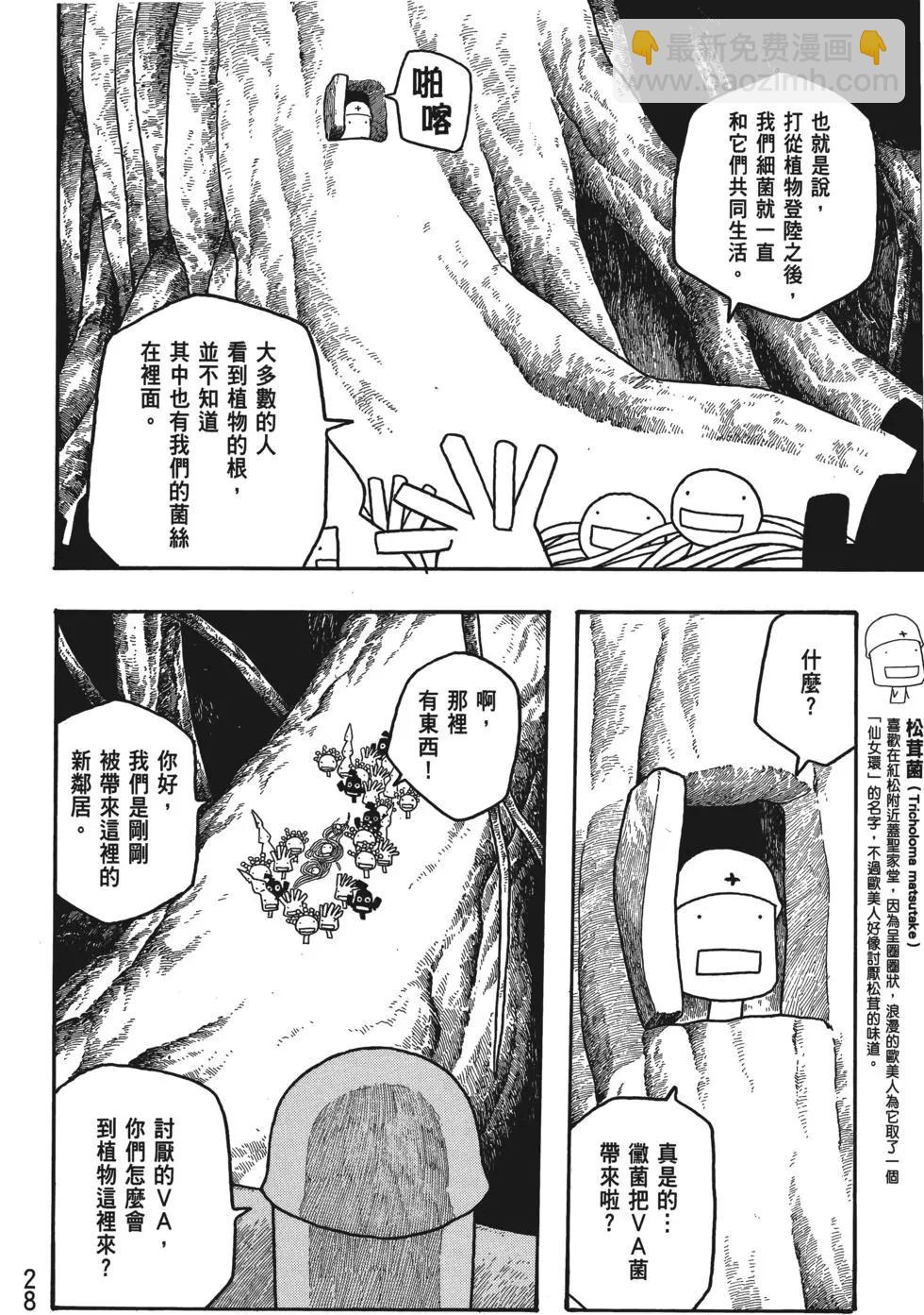 第04卷28