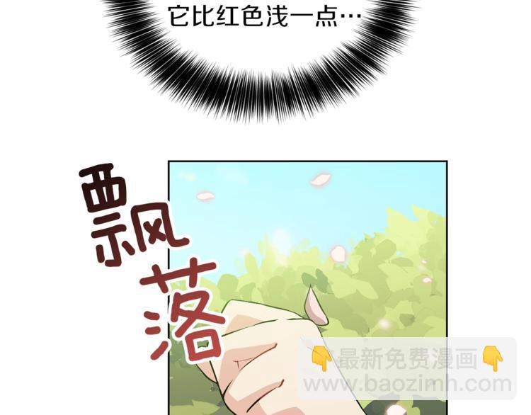 第6话 一起赏樱花吧！162