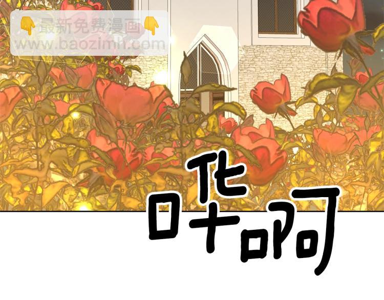 第15话 玫瑰园的浪漫约会33