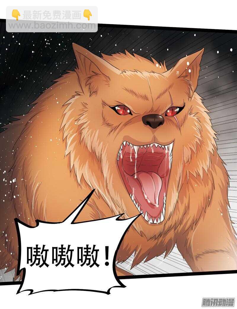 60623