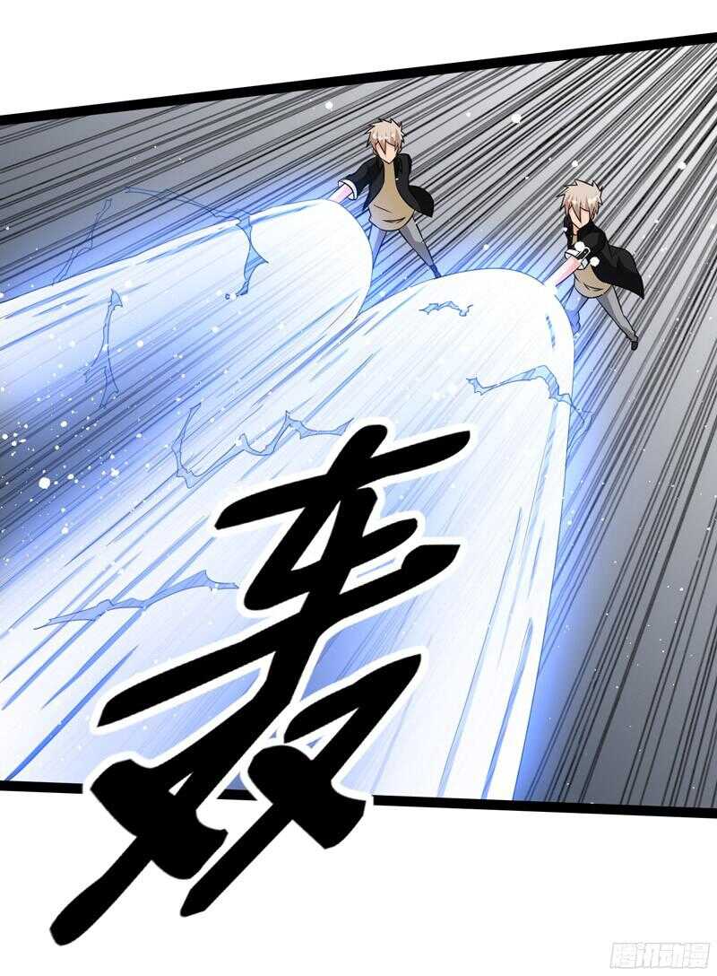 8244