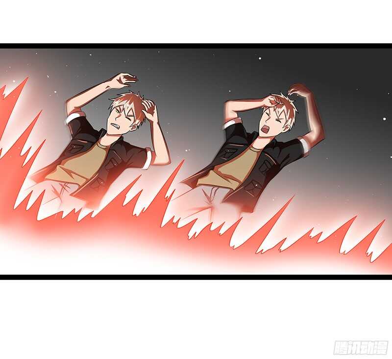 8274