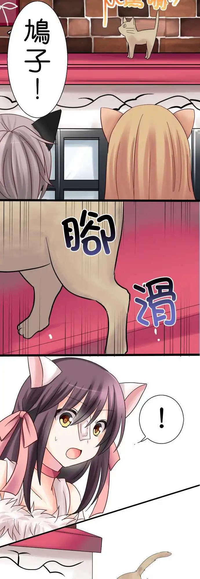 第10回17