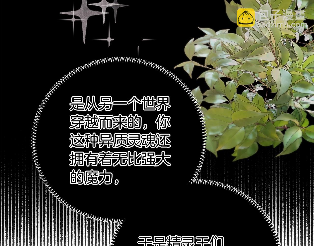 第26话 来和精灵玩耍吧~100