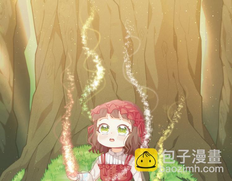 第40话 被洗脑的风精灵王9