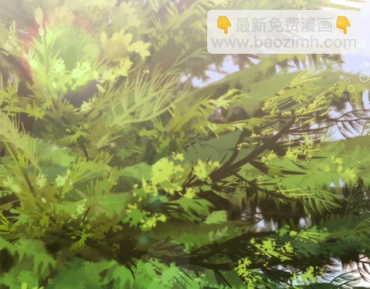 第51话 弟弟的魔法41