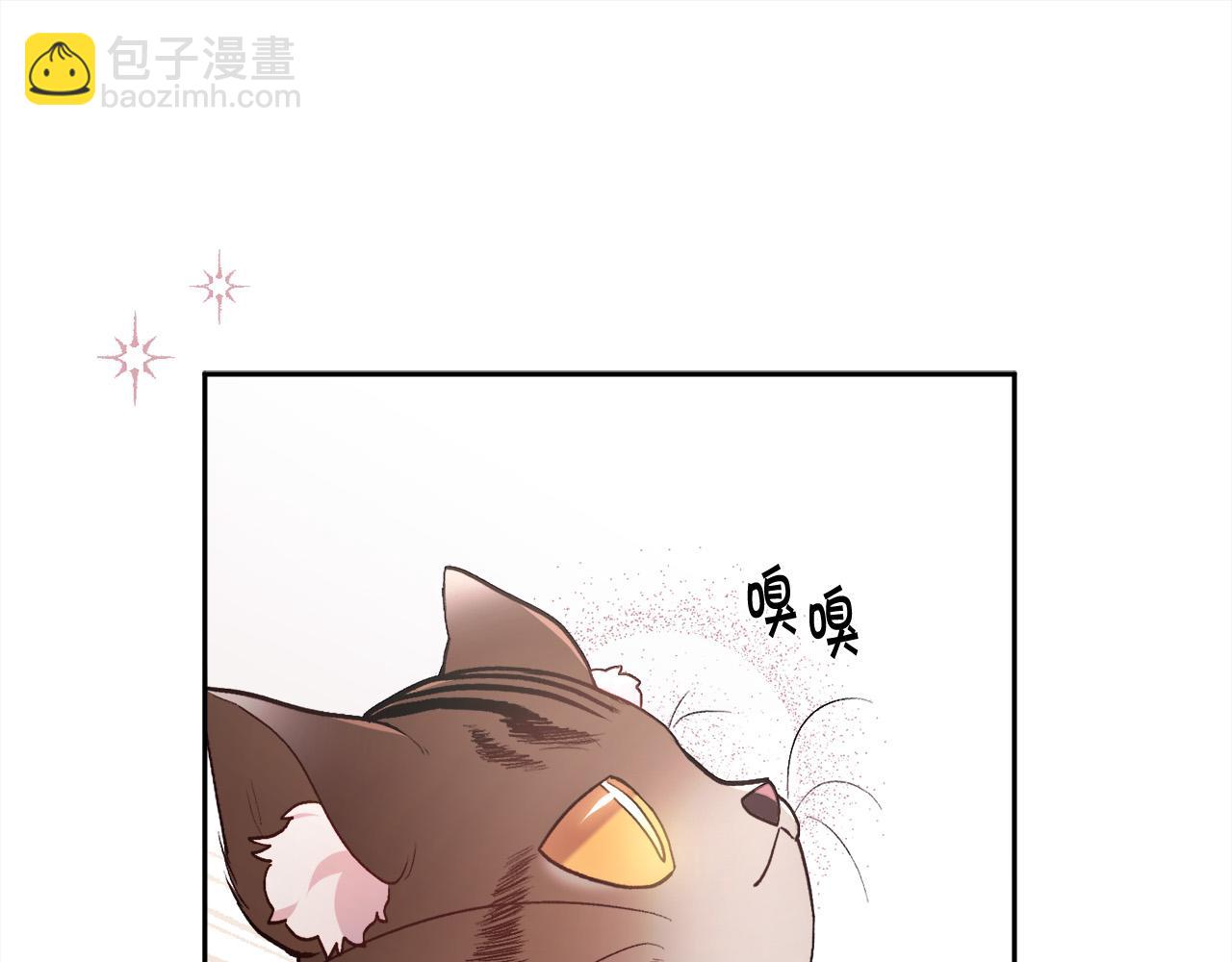 第119话 泰拉登场！100