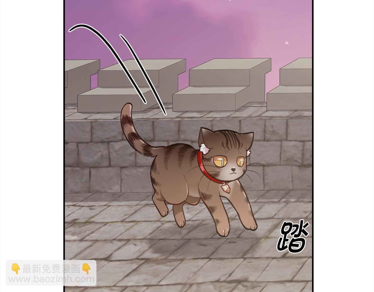 第119话 泰拉登场！109