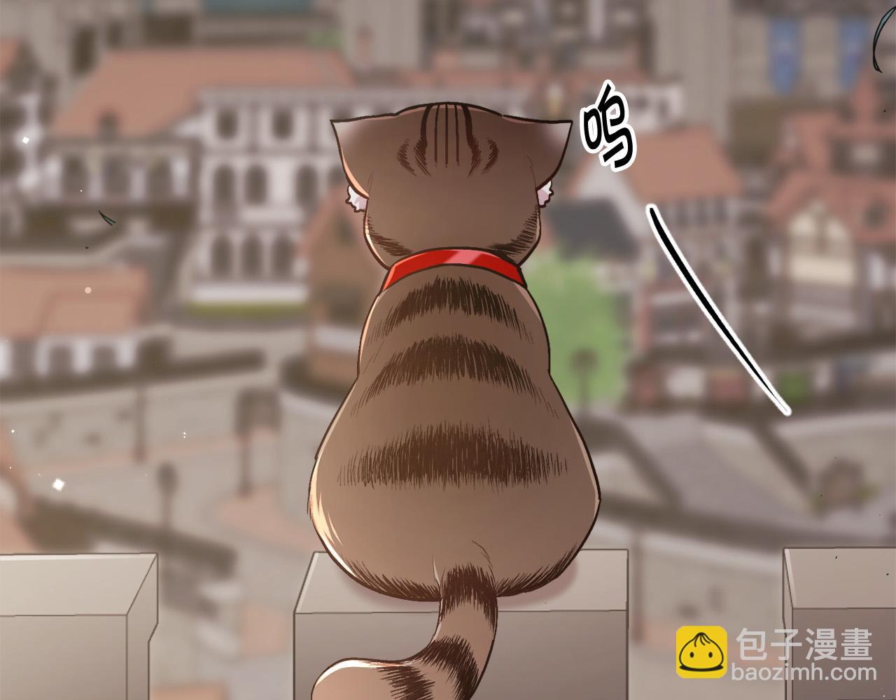 第119话 泰拉登场！113