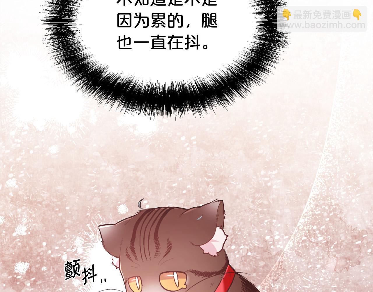 第119话 泰拉登场！123