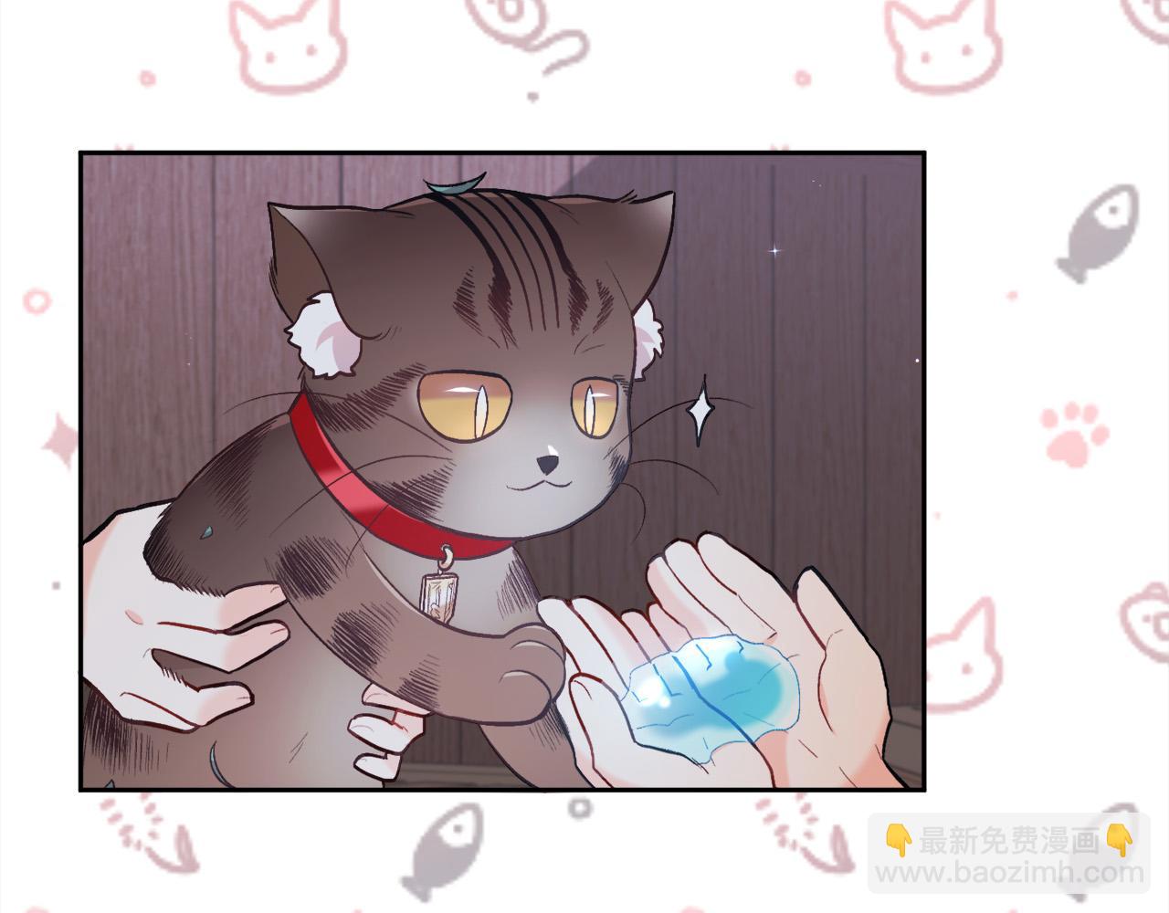 第119话 泰拉登场！135