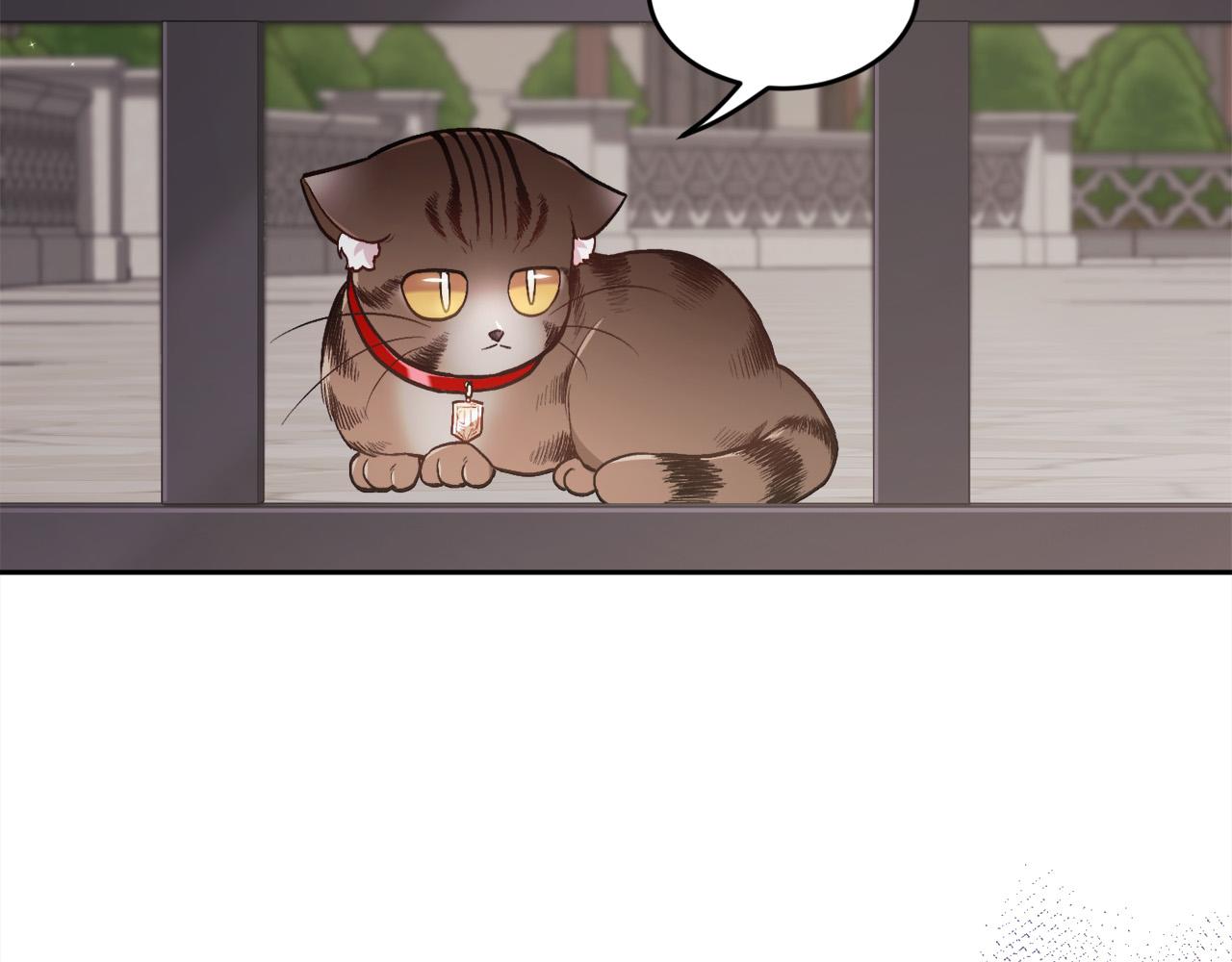 第119话 泰拉登场！27