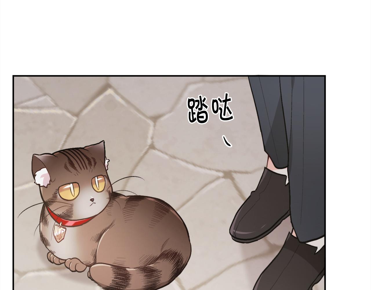 第119话 泰拉登场！40