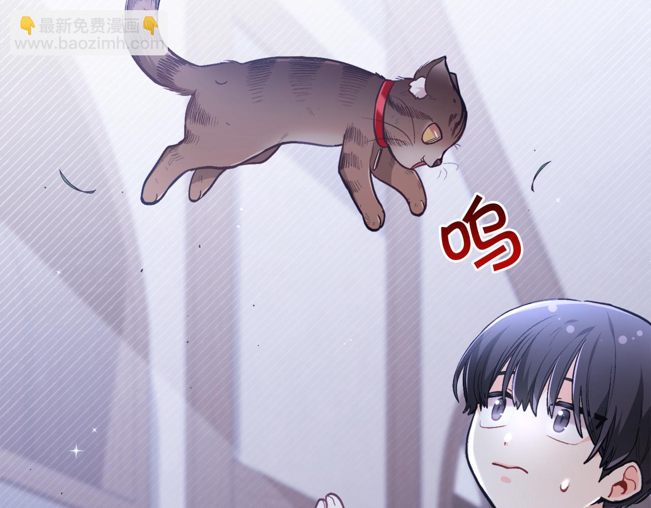第119话 泰拉登场！6