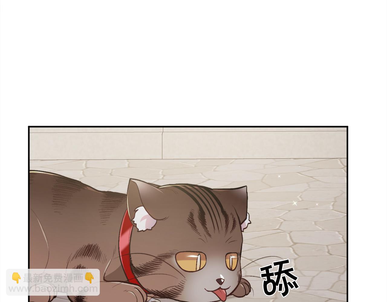 第119话 泰拉登场！82