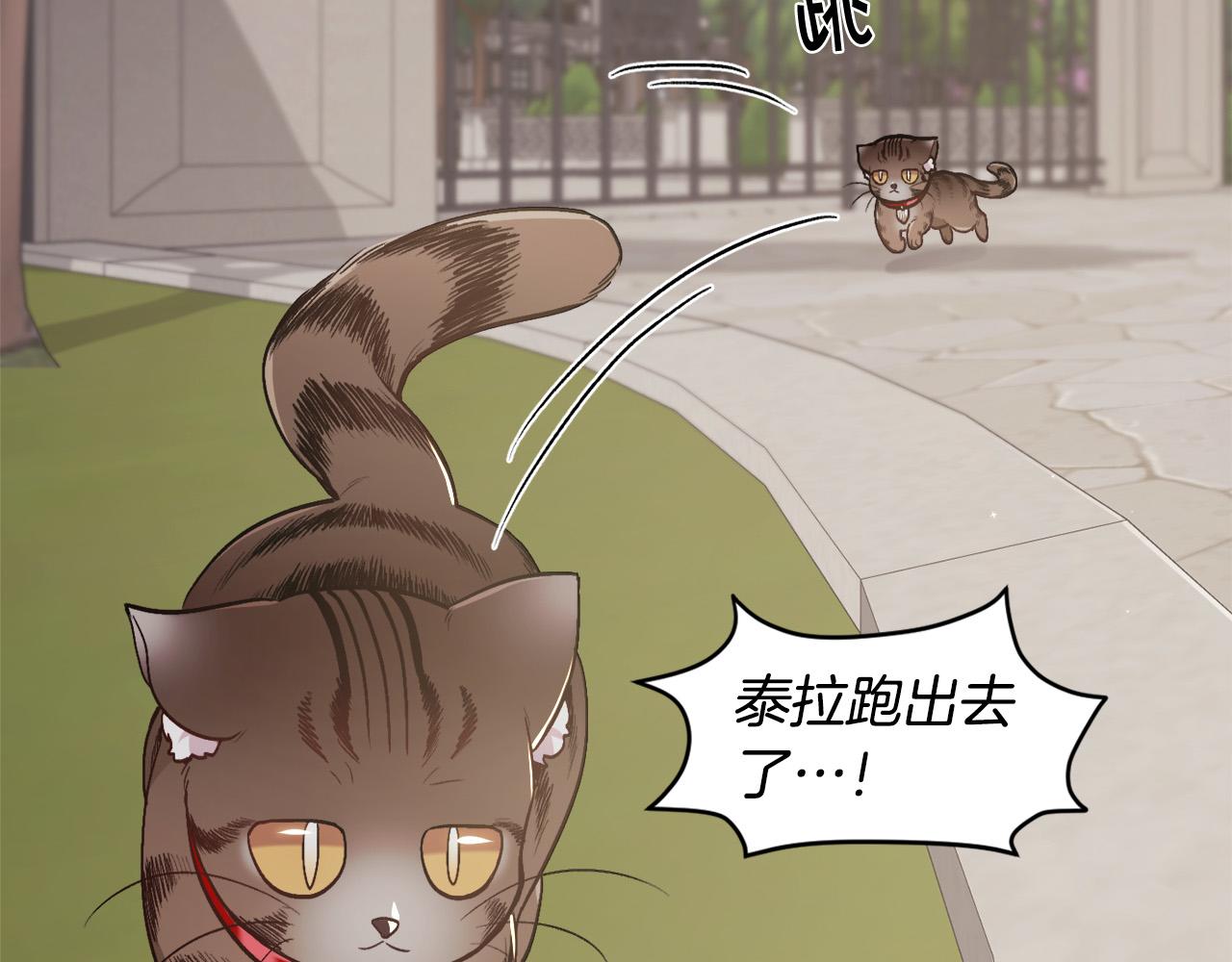 第119话 泰拉登场！90
