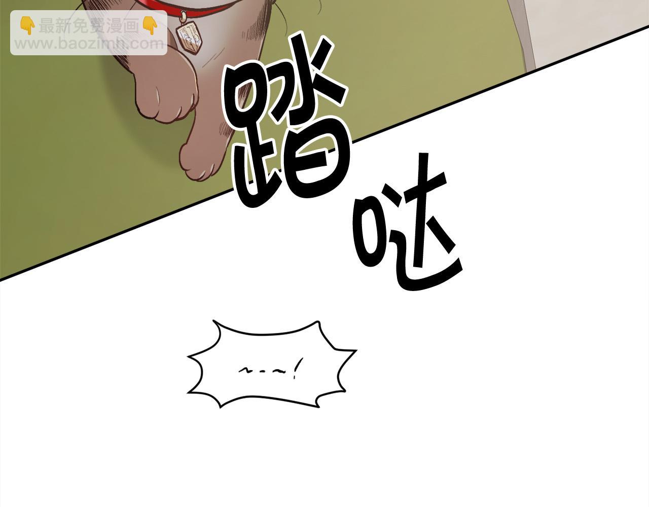 第119话 泰拉登场！91