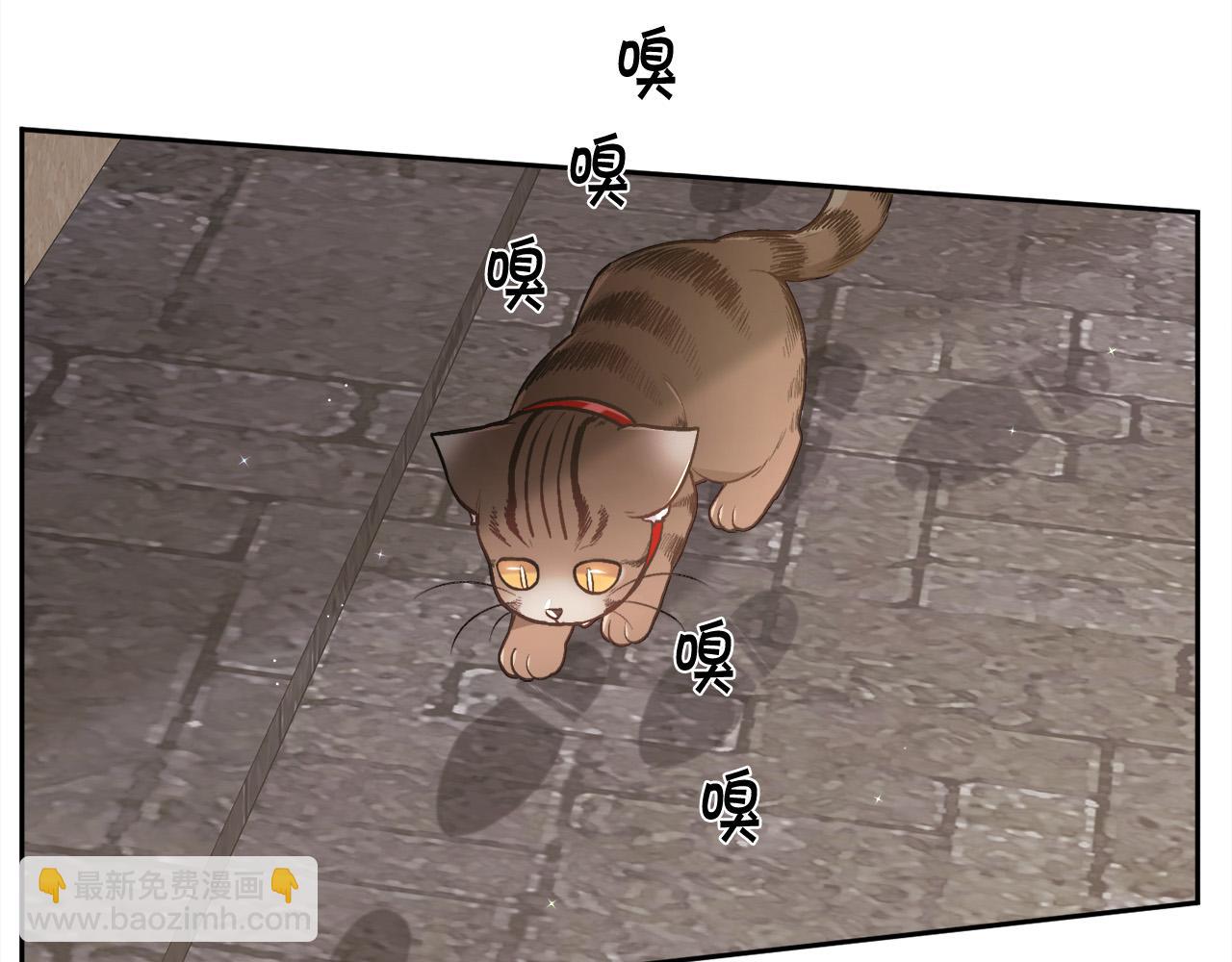 第119话 泰拉登场！96