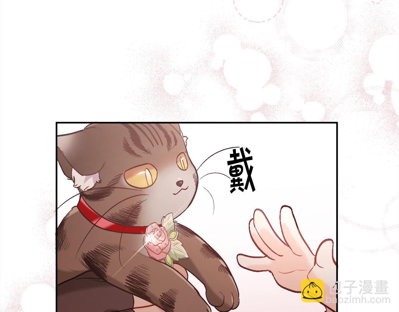 第138话 我喜欢你！77