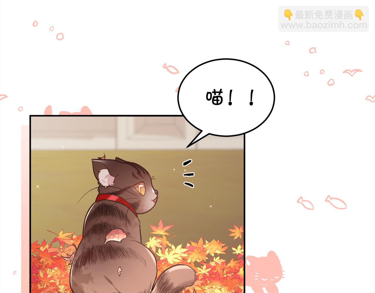 第140话 订婚仪式29