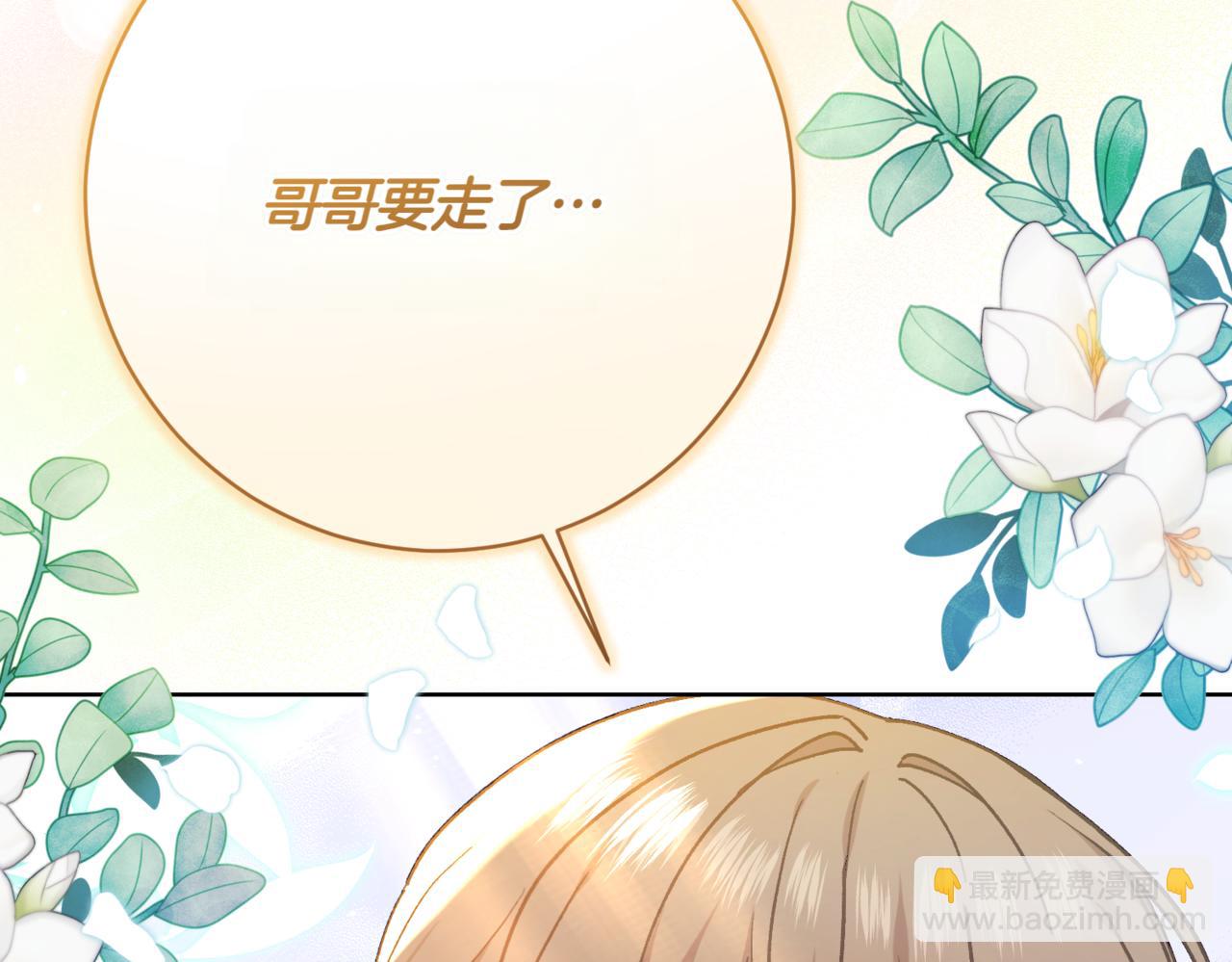 第217话 兄妹情深205