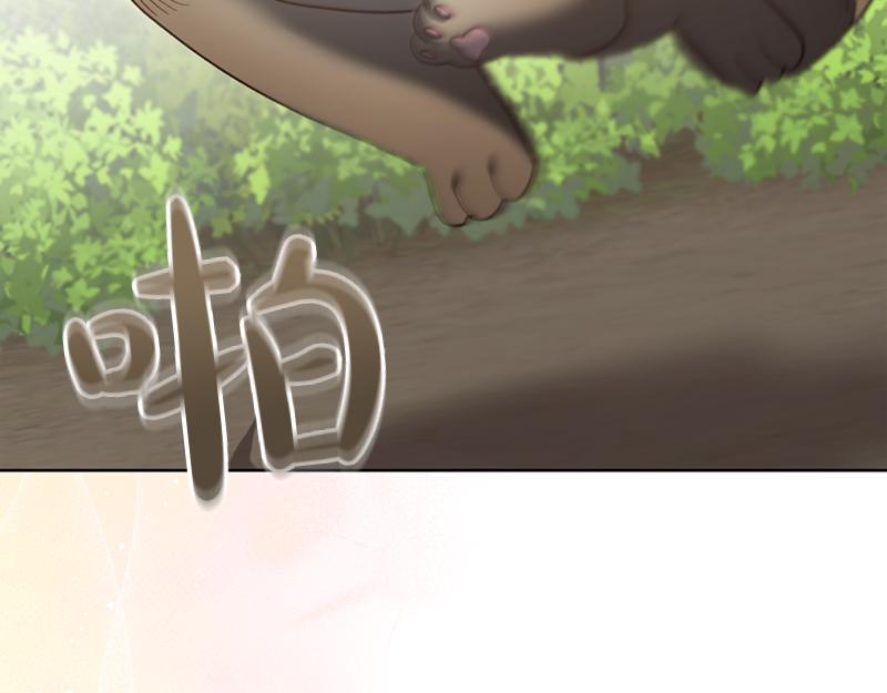 第220话 强化魔法课22