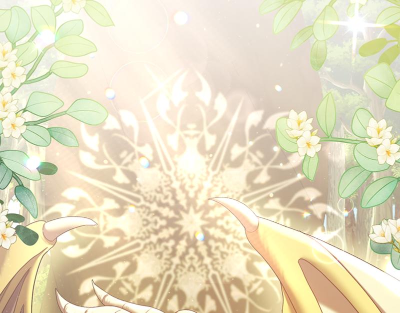 第220话 强化魔法课41