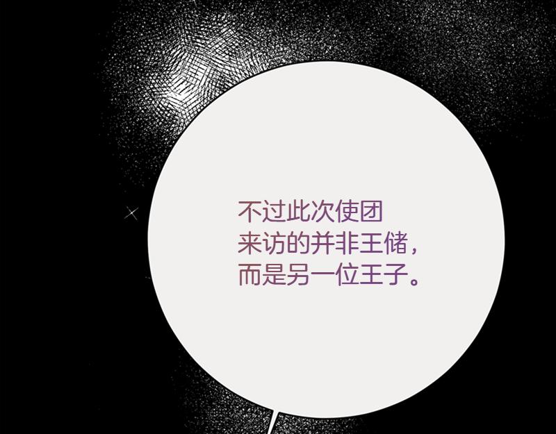 第222话 使团随行王子13