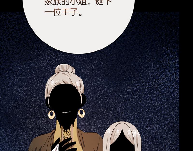 第222话 使团随行王子5