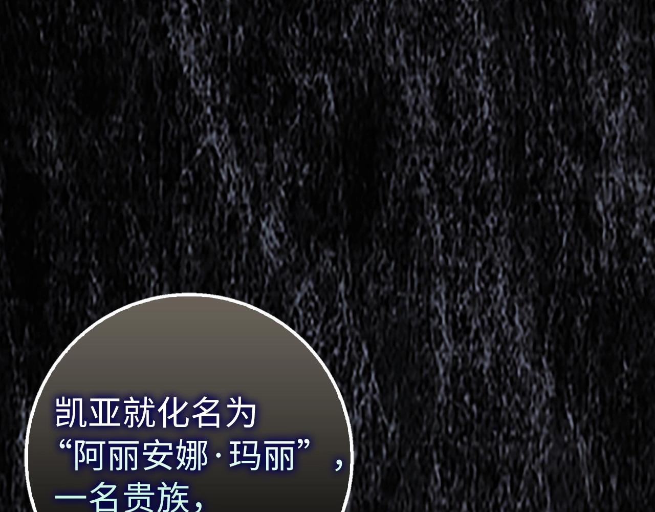 第21话 拍卖会0