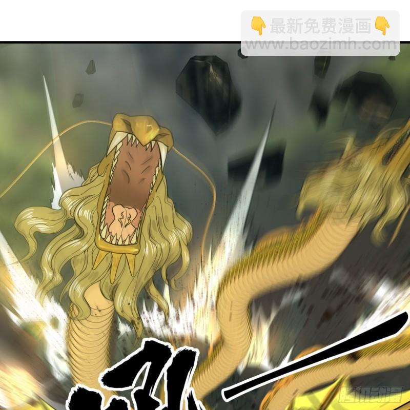 114回  初祖妖皇！31