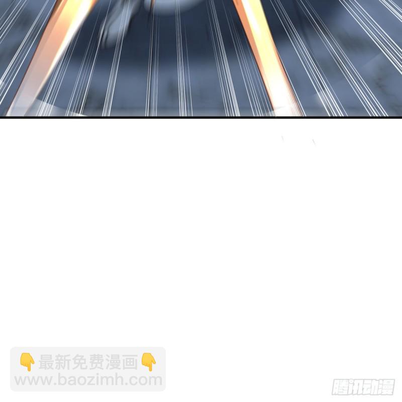 180回 铁树真的开花了！14