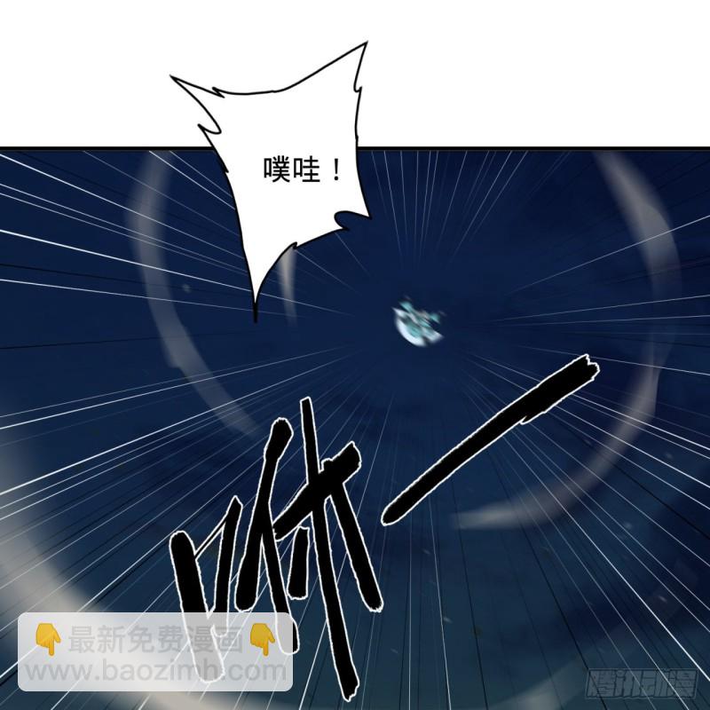 180回 铁树真的开花了！15