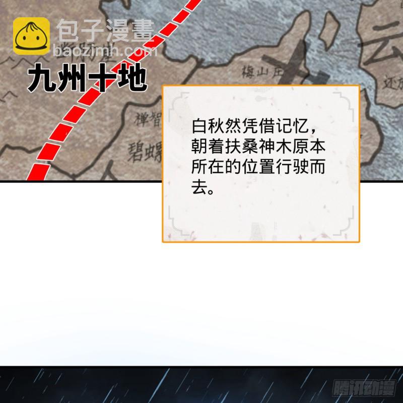 180回 铁树真的开花了！80