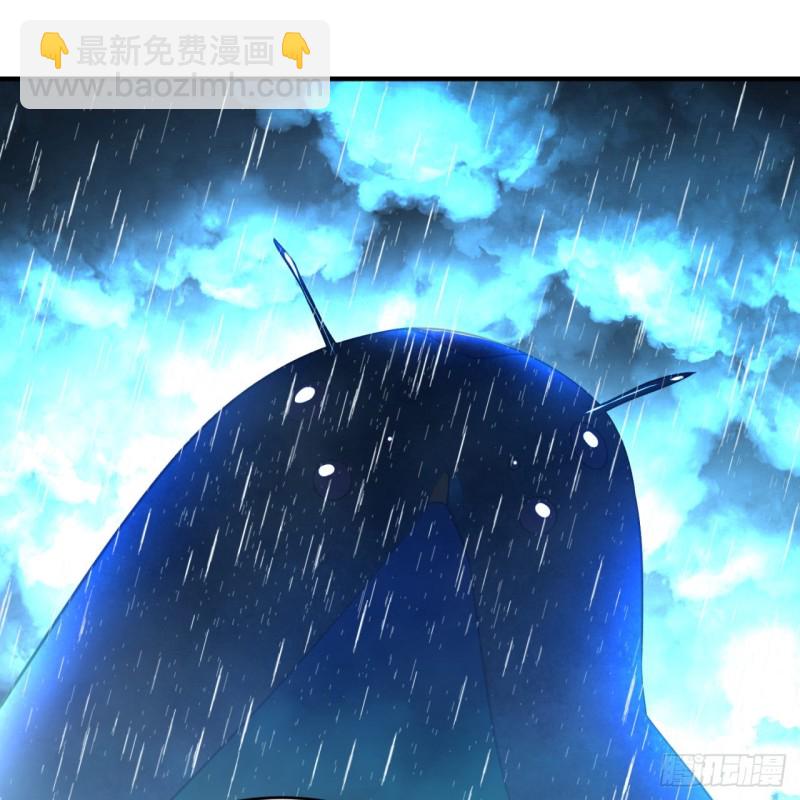 180回 铁树真的开花了！87