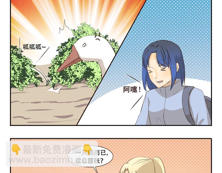 第278话 人形地图8