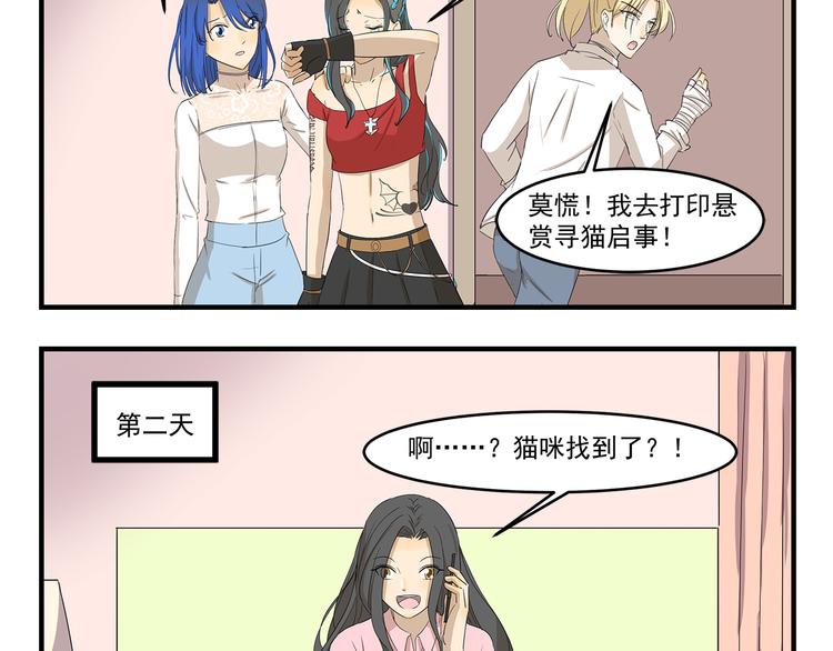 第423话 寻猫启事3