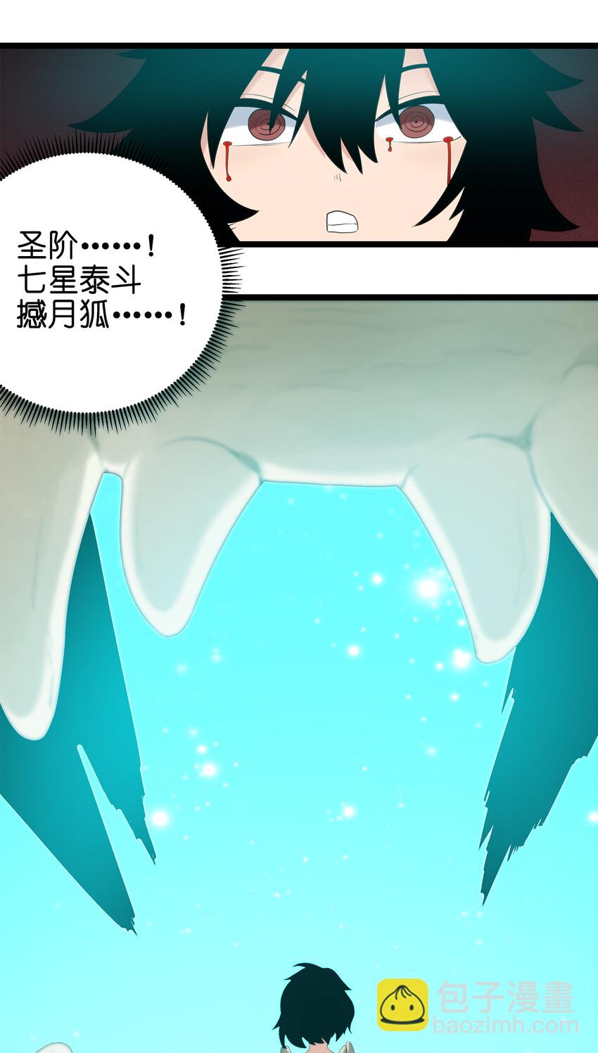 005 七星泰斗撼月狐54