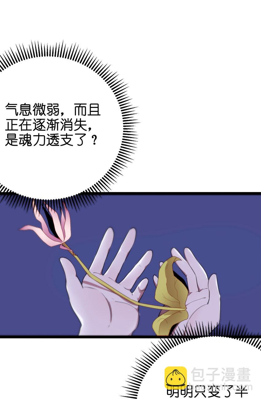 005 七星泰斗撼月狐64
