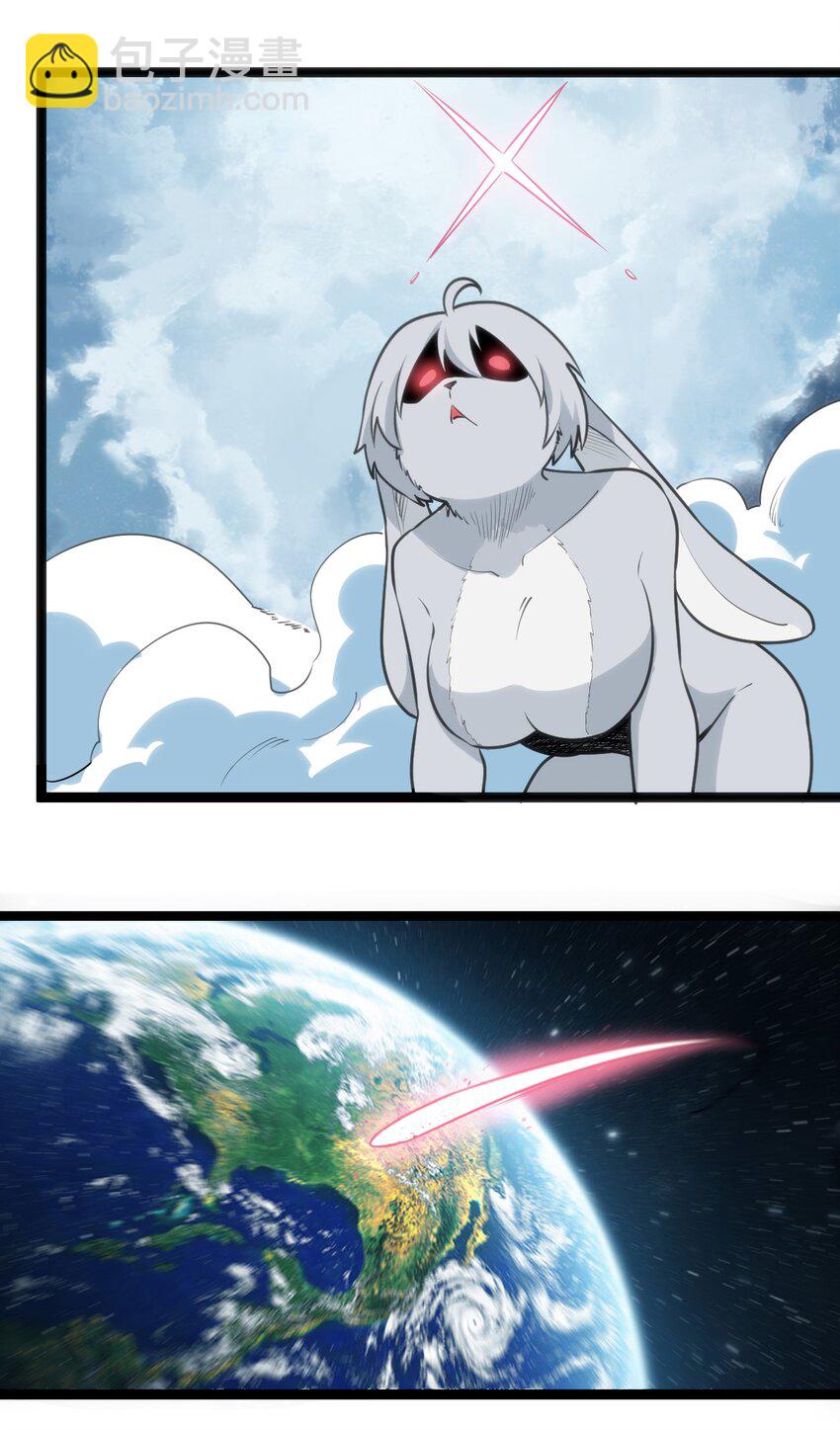 067 兔子，好壮一只大兔子12