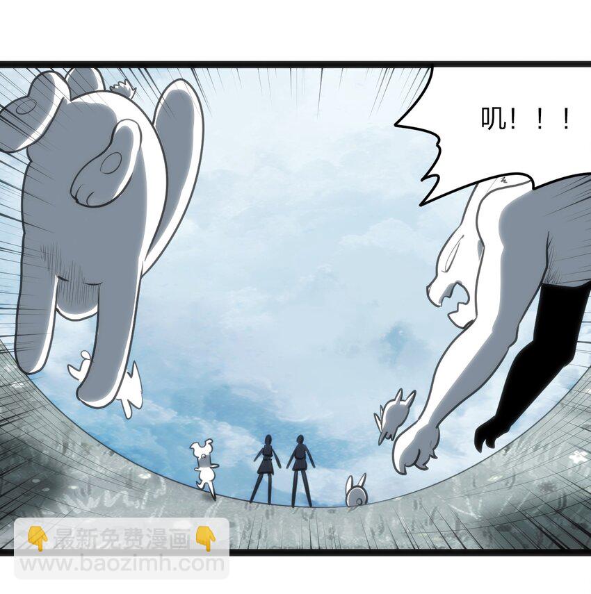 067 兔子，好壮一只大兔子26
