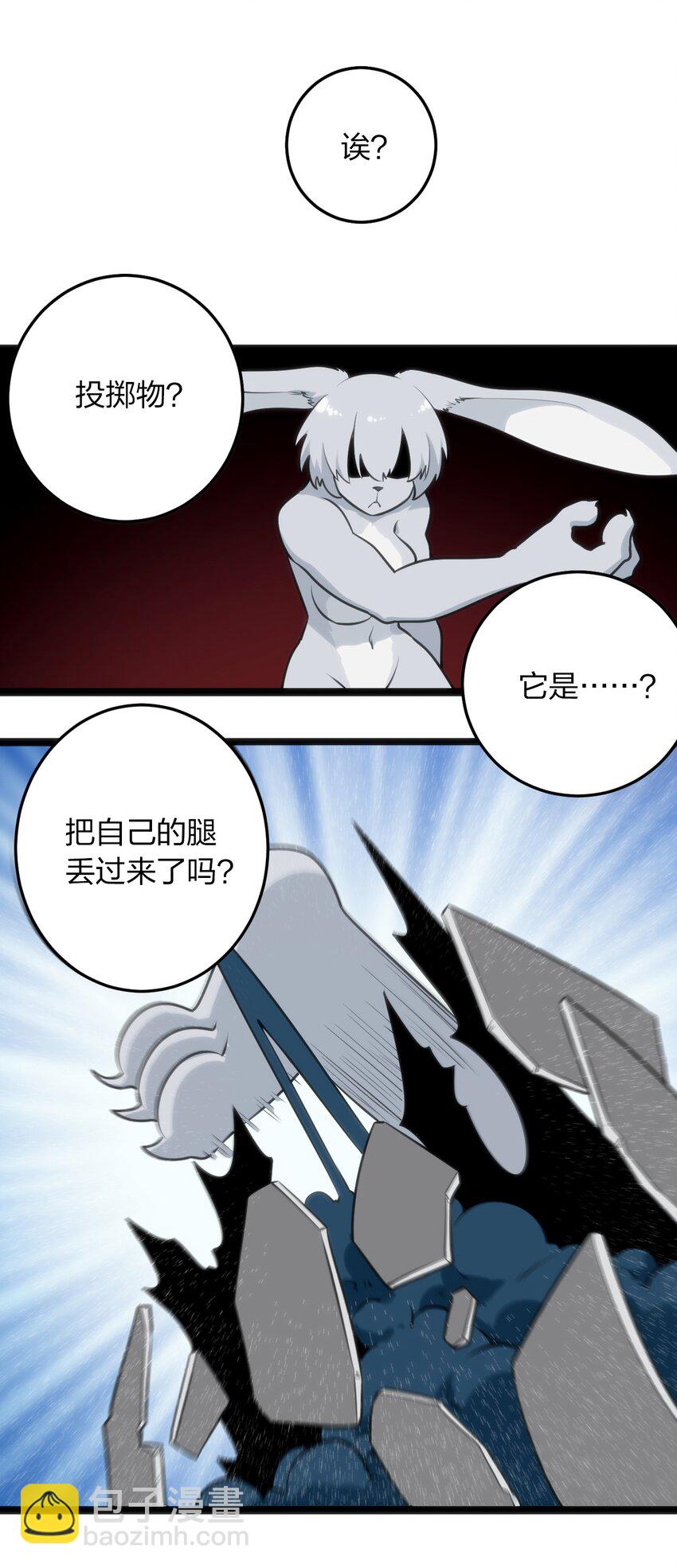 067 兔子，好壮一只大兔子6