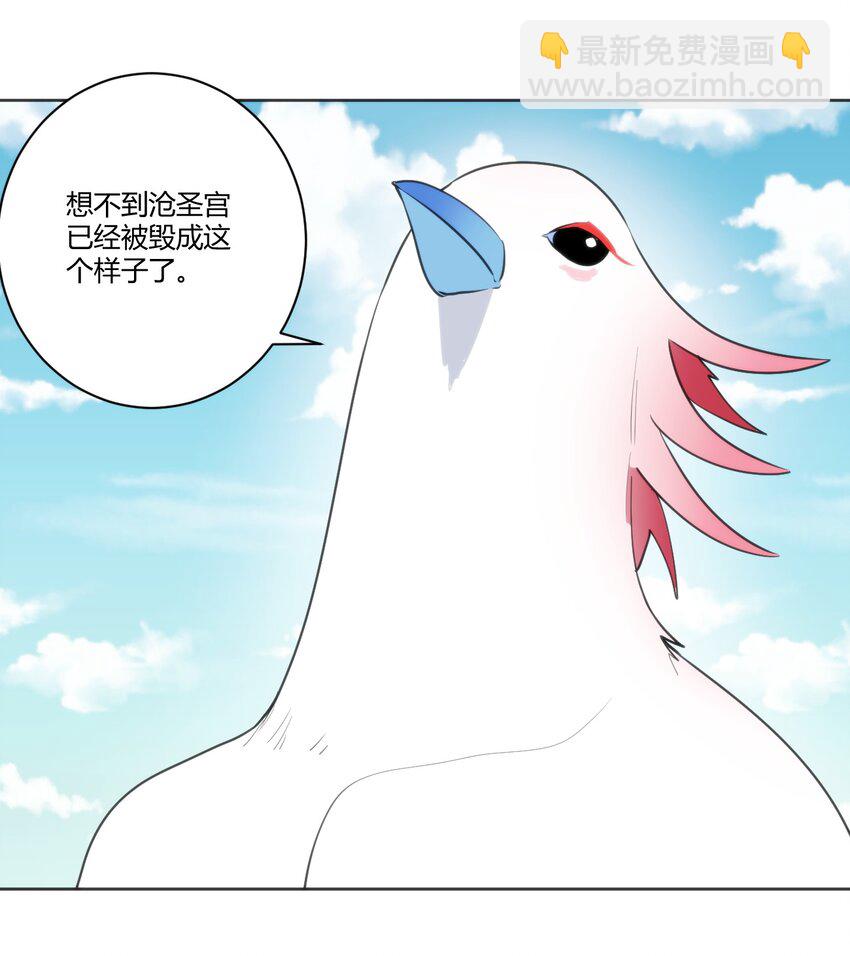 206 白花踏月鹿8