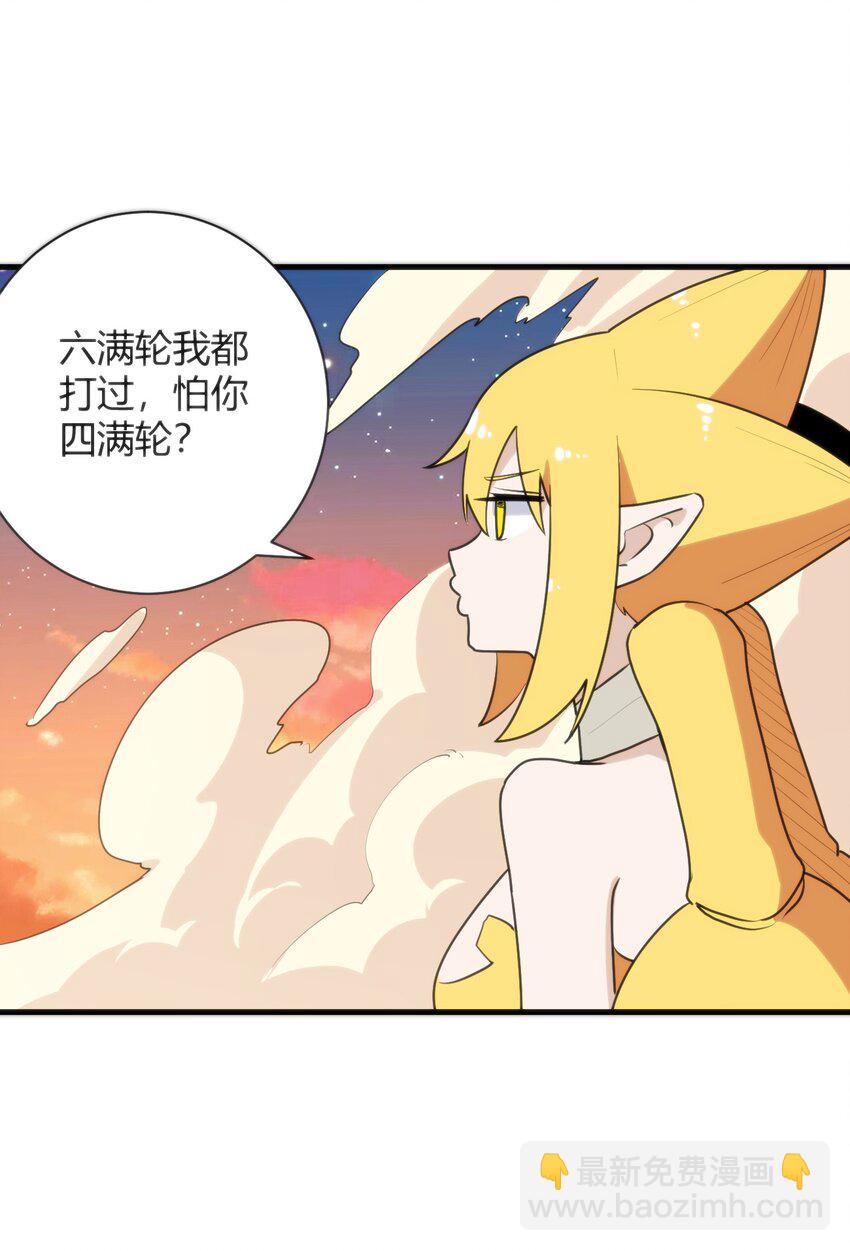 221 小狐狸上场28