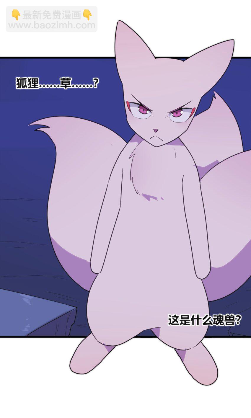 221 小狐狸上场36