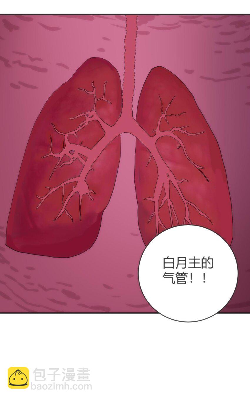 284 紫雷万钧28