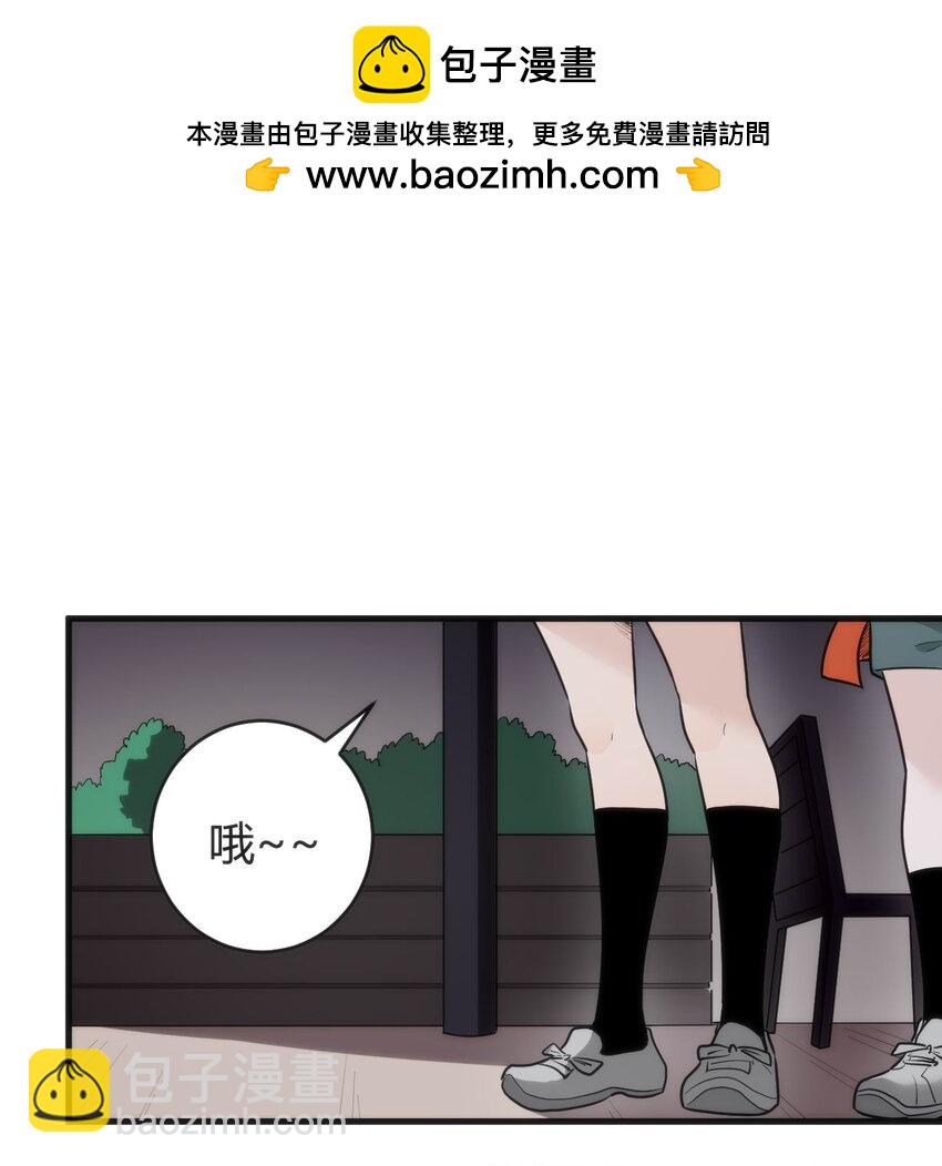 312 伪装22