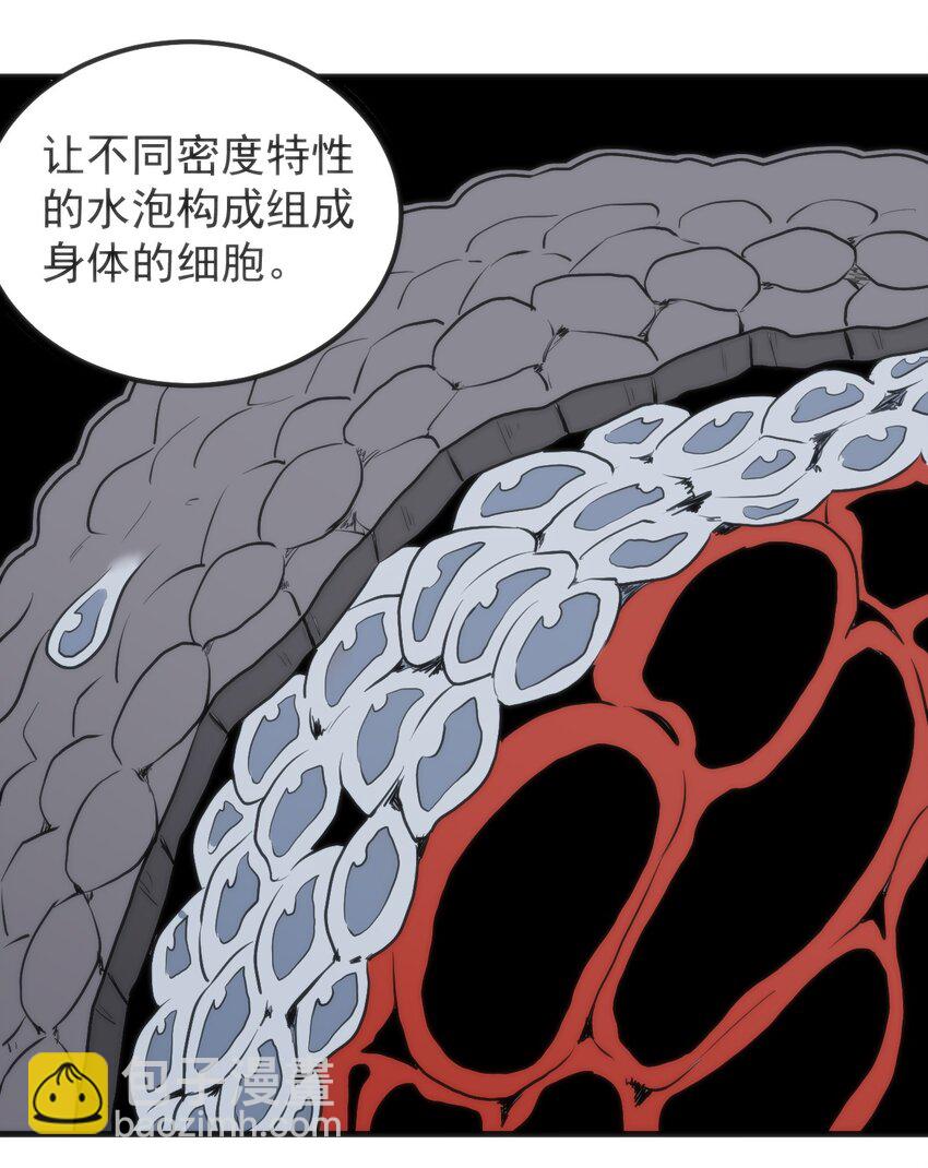 323 软趴趴37
