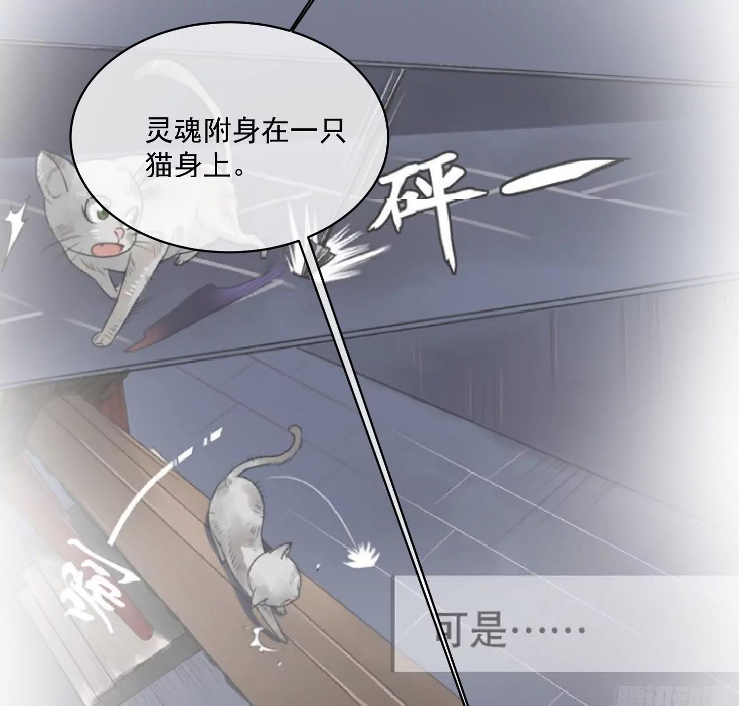 第161话 致亲爱的她（完）16